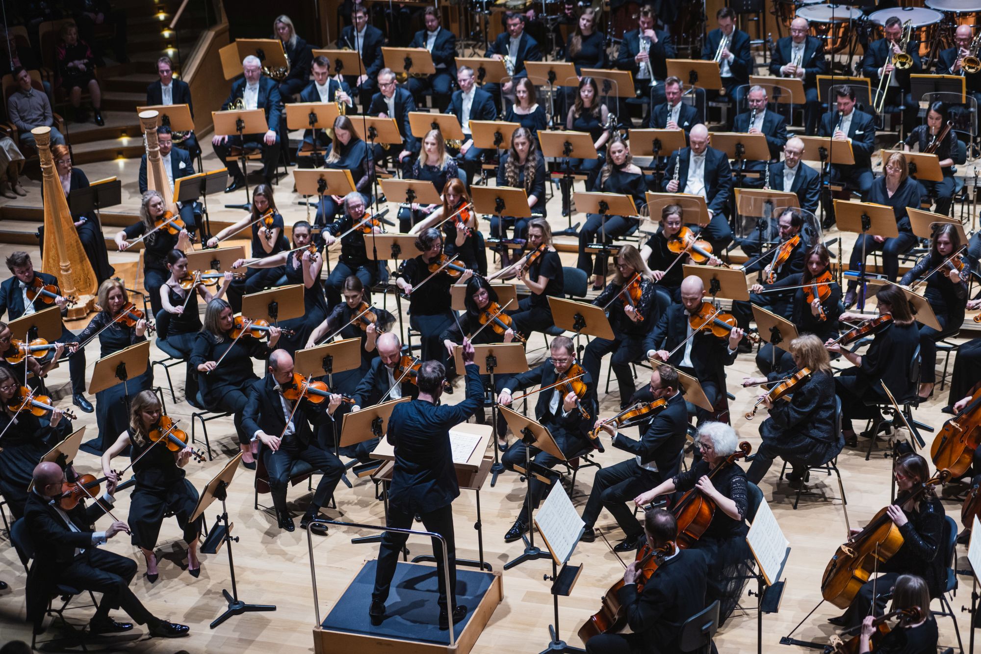 muzycy orkiestra filharmonii