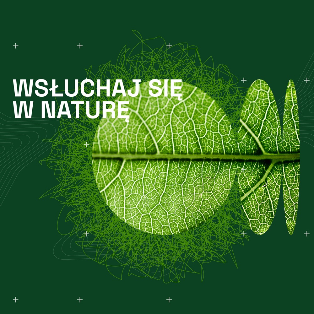 liść i fale dźwiękowe