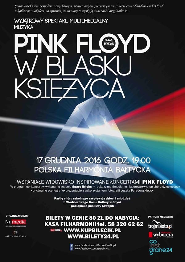 pink floyd w blasku ksiezyca male