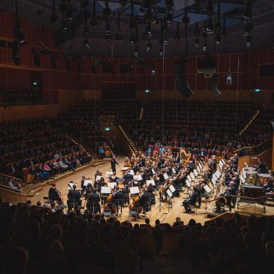 Koncert symfoniczny - Maximilian Hornung