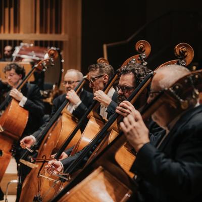 Koncert symfoniczny - Nelson Goerner
