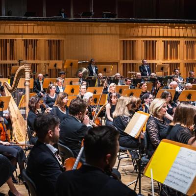 Koncert symfoniczny - Pierścień Nibelunga