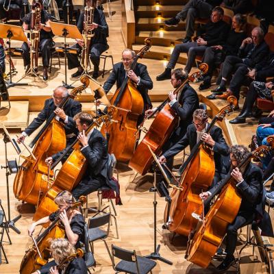 Koncert symfoniczny - Orkiestra PFB